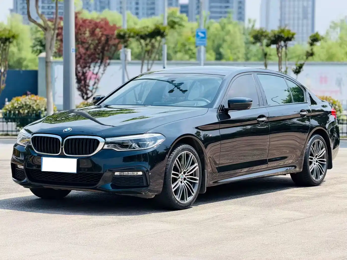 BMW 5 Series 2018 530Li Premium M Sport Package