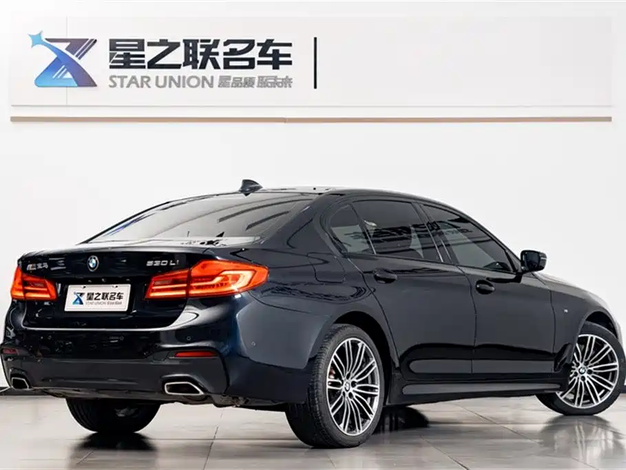 BMW 5 Series 2019 530Li Leading M Sport Package фото 7