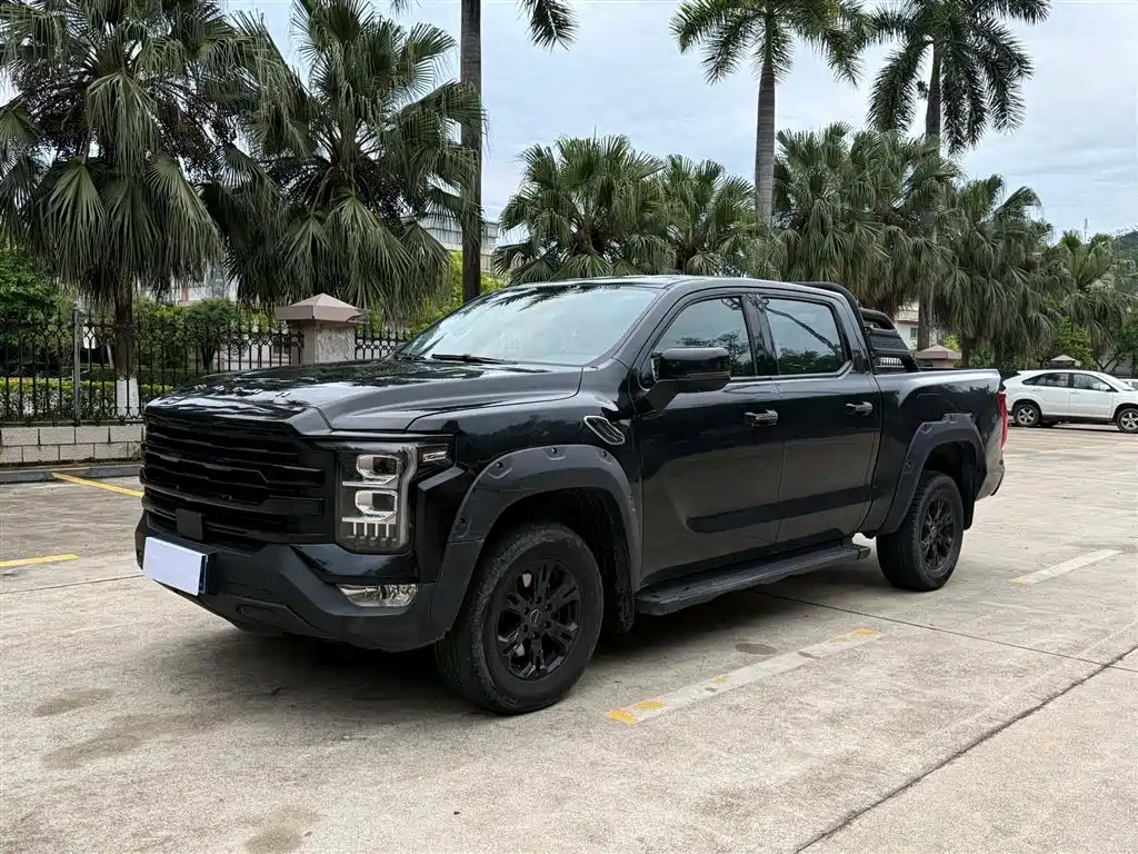 Foton Mars 2023 Mars 7 2.0T Diesel Manual 2WD Long Wheelbase Elite Edition