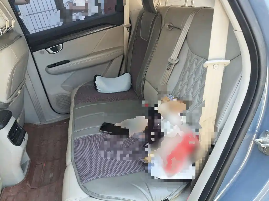 Wuling Motors Wuling Xingchen 2021 2021 1.5T CVT Stellar Edition