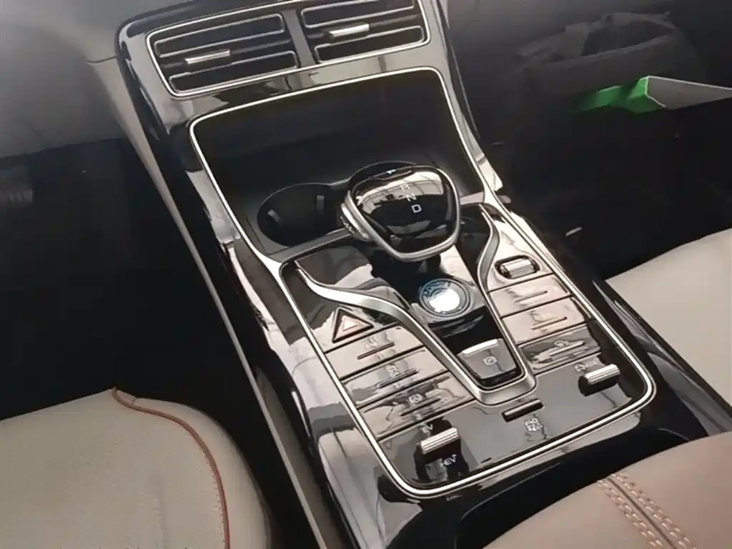 BYD Qin PLUS 2023 Champion Edition DM-i 120KM Excellence фото 14