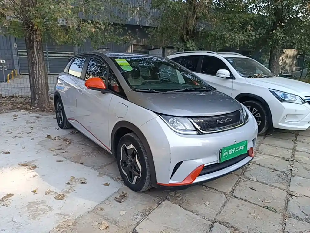 BYD Dolphin 2021 2021 405km Freedom Edition