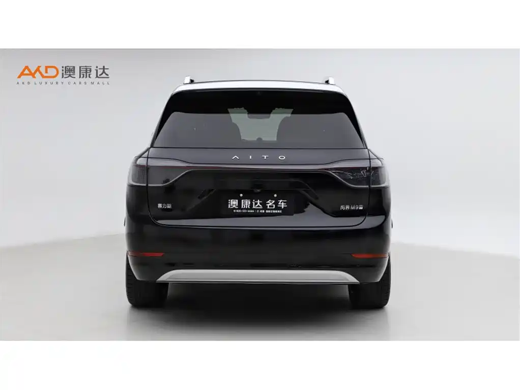 AITO Wenjie AITO M9 2024 Pure Electric Ultra 100kWh 6-Seater фото 4