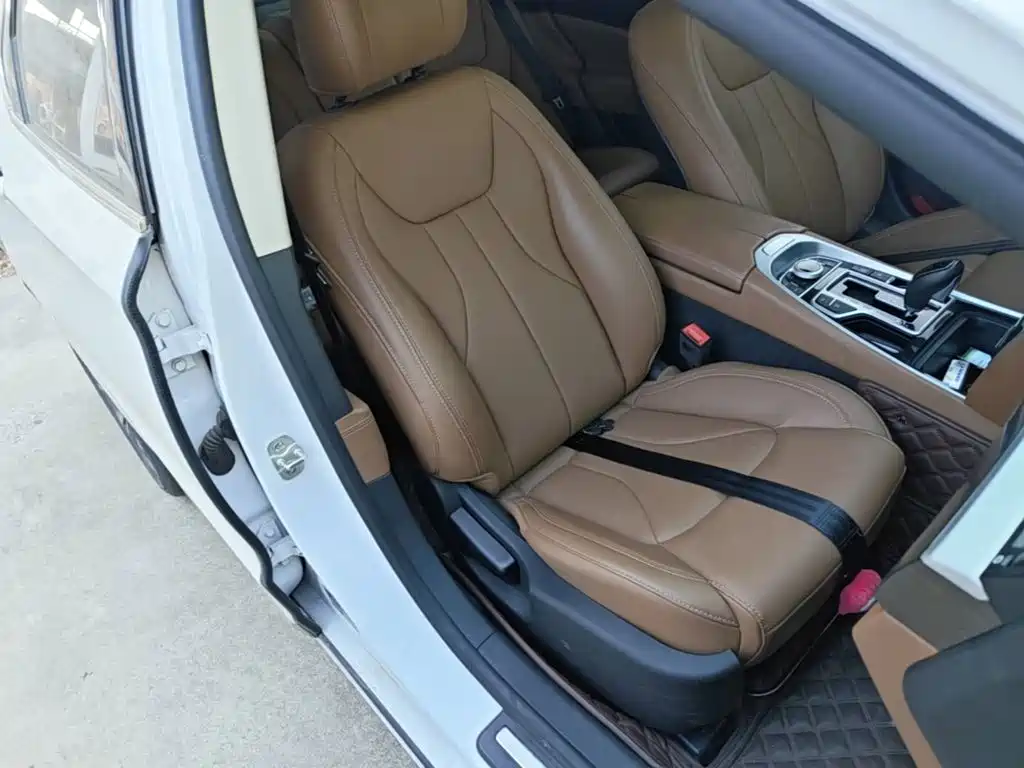 Фото 25 - Geely Borui