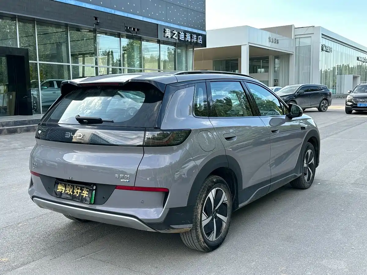 BYD Hai Shi 05 EV 2025 520KM Smart Navigation Edition фото 6