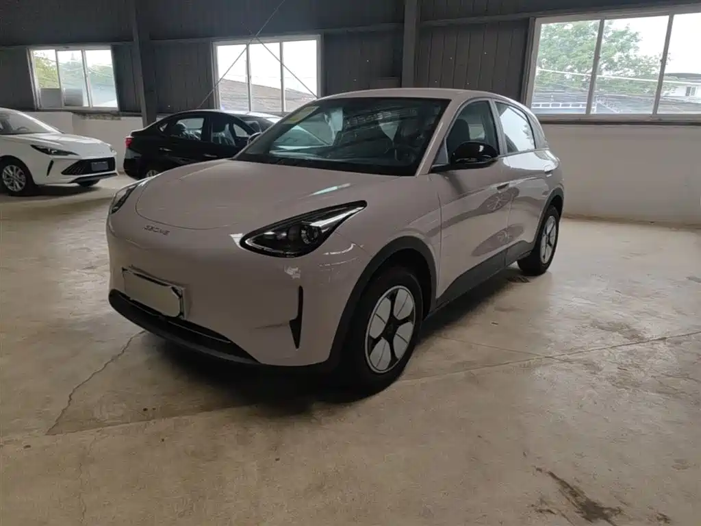 Geely Galaxy Starry Wish 2026 Edition 310km Youth Version