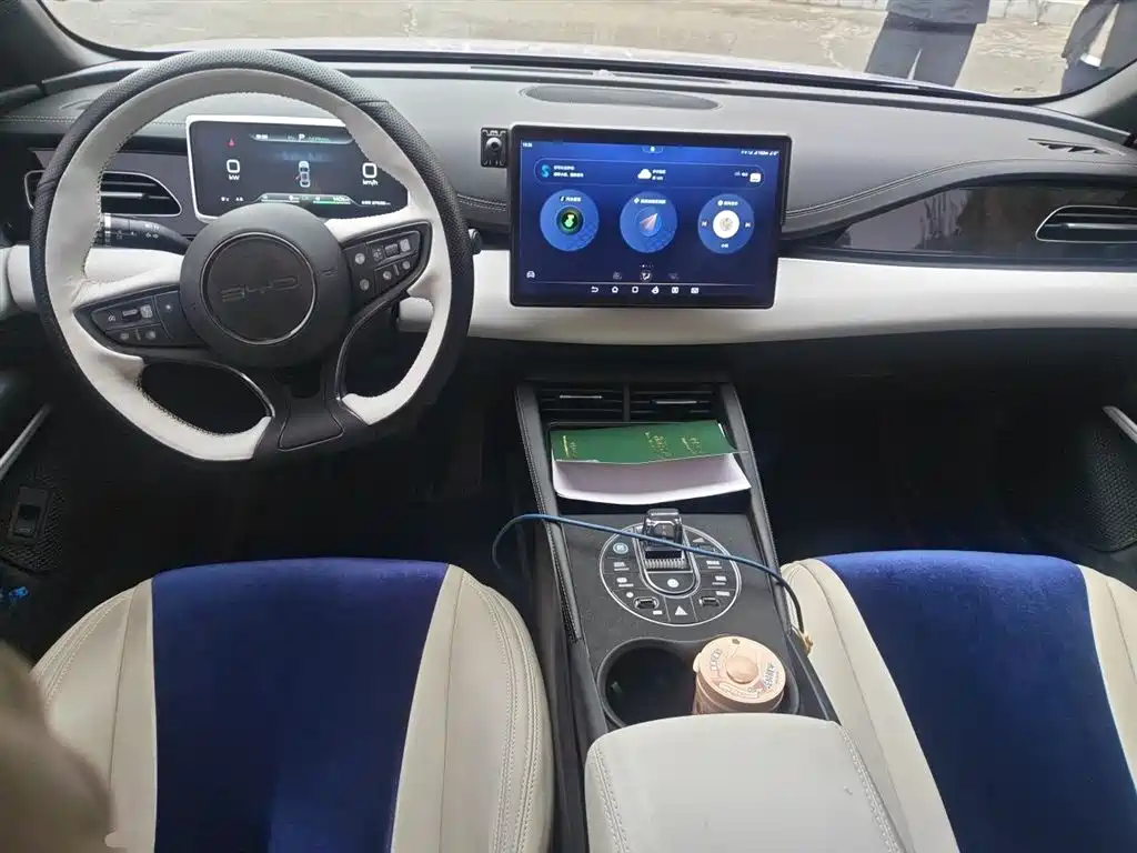 BYD Seal 06 New Energy 2024 DM-i 80KM Prestige фото 13