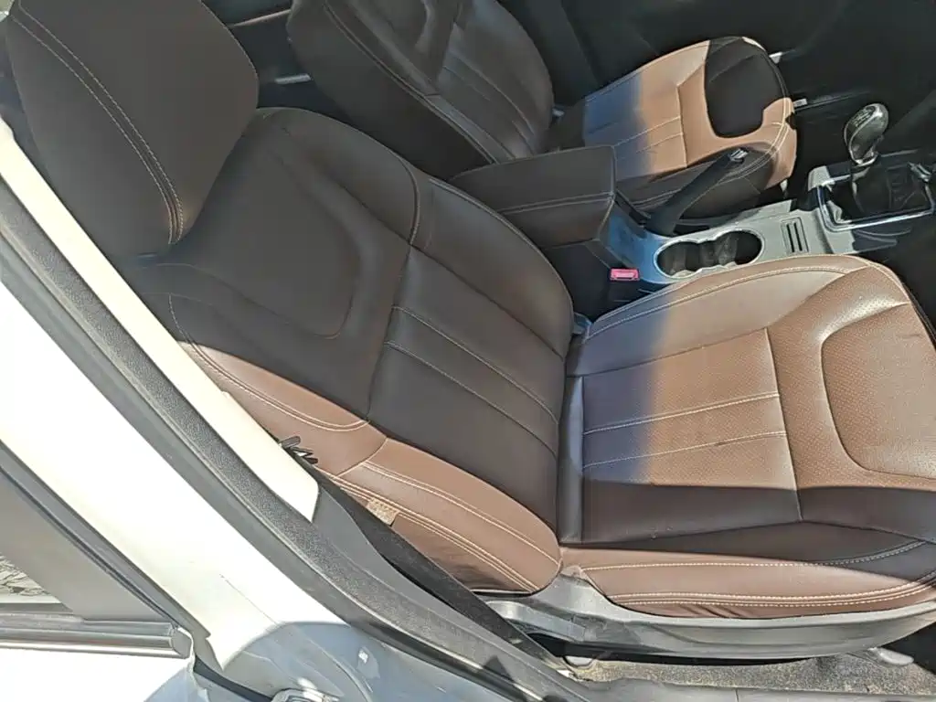 Bisu Auto Bisu T5 2017 2017 1.5T Manual Luxury