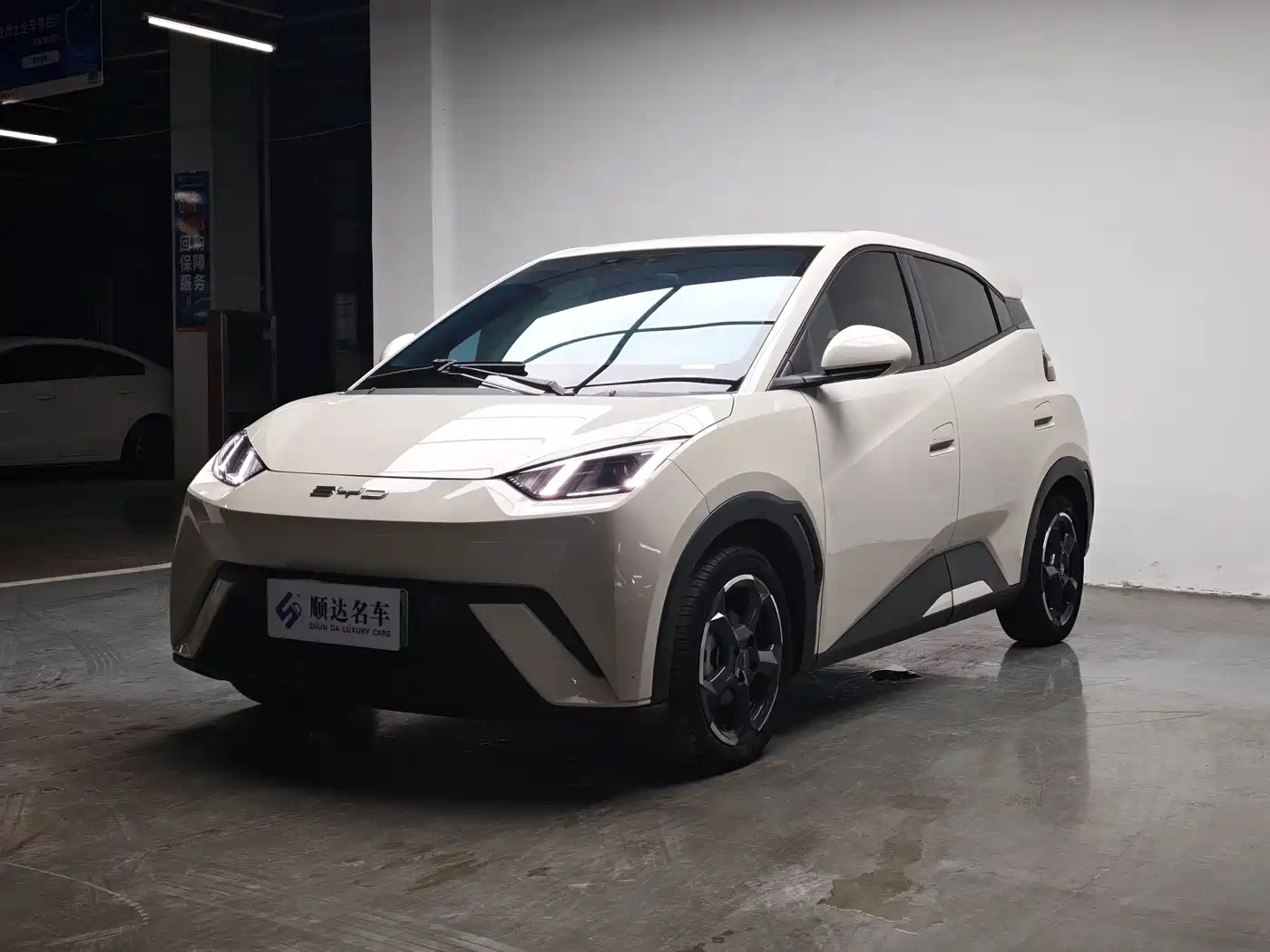 BYD Seagull 2023