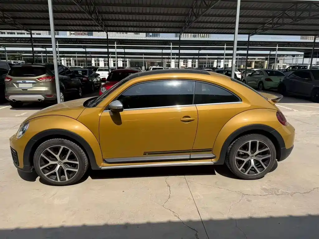 Фото 9 - Volkswagen Beetle