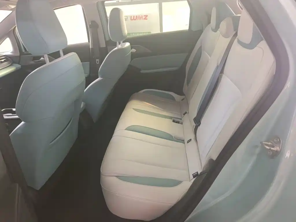 Geely Geometry E Firefly 2024 2024 Model 301km Starlight