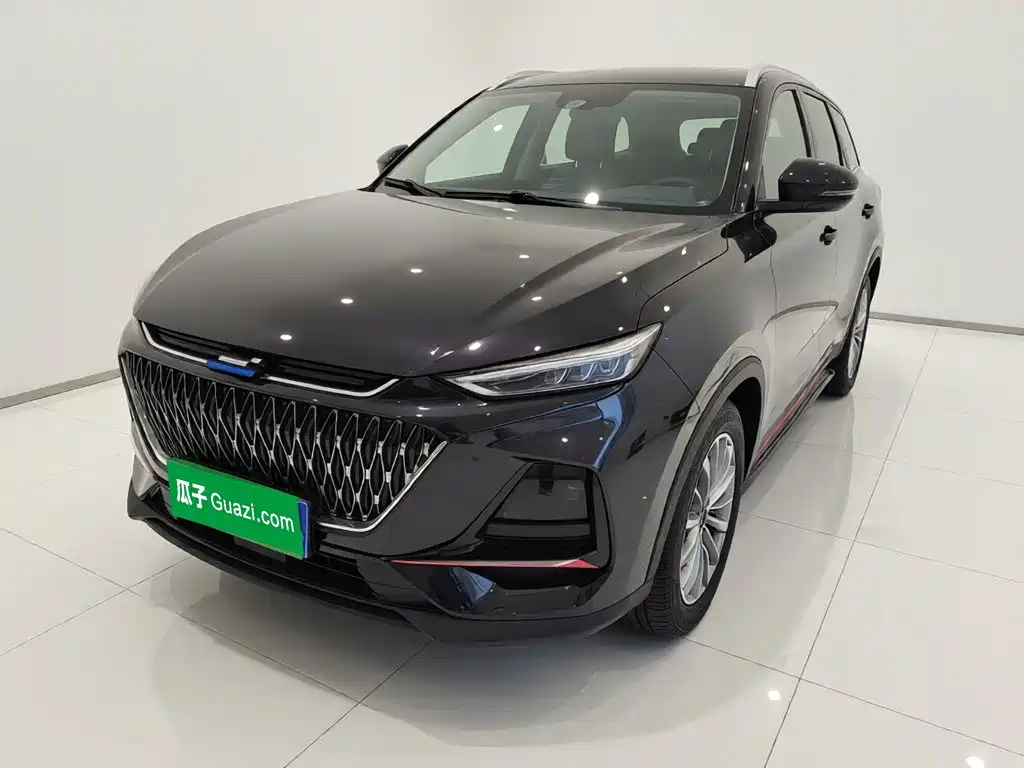 Changan Oshan X7 PLUS 2022 2022 1.5T Blue Whale Edition Auto Executive