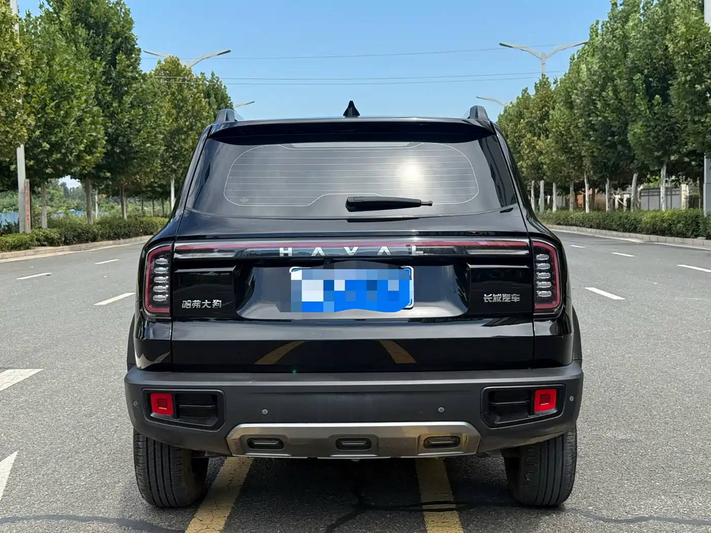 Haval Dargo 2024 2024 1.5T DCT Border Collie Edition