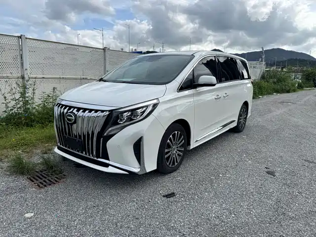 GAC Trumpchi Trumpchi M8 2021 Leading Show Series 390T Prestige Edition