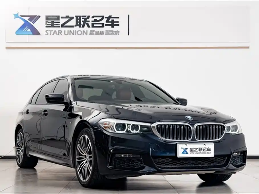 BMW 5 Series 2019 530Li Leading M Sport Package фото 5