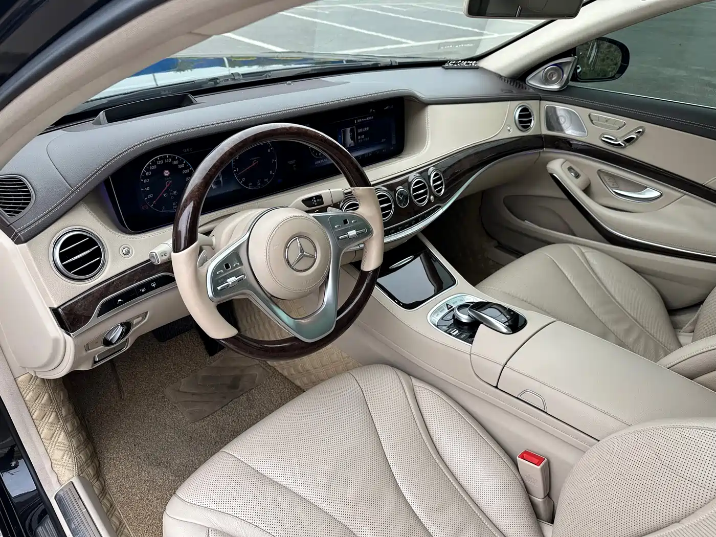Mercedes-Benz S-Class 2018 S 350 L фото 14