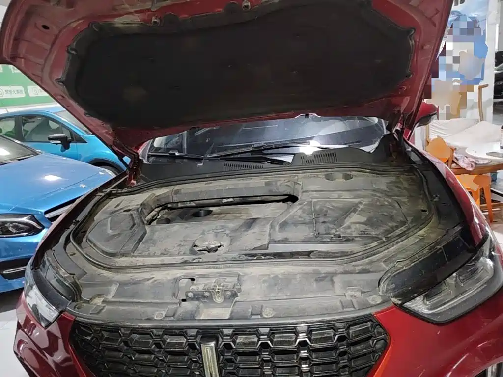 WEY VV5 2018 2017 2.0T Flagship Model