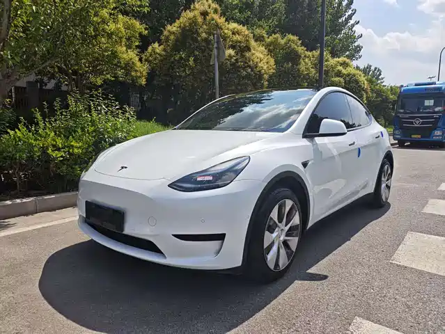 Tesla Model Y 2022 Facelift Rear-Wheel Drive Version