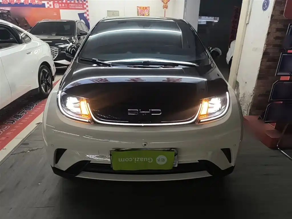 BYD Dolphin 2023 420km Fashion Edition фото 3