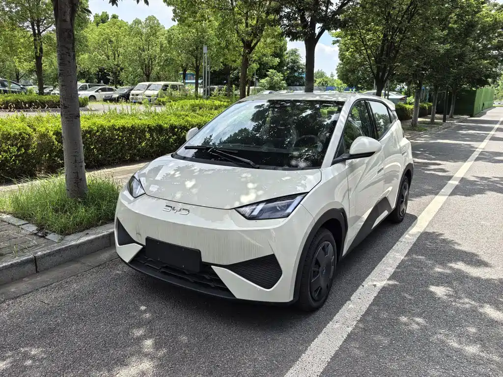 BYD Seagull 2026 2025 Smart Drive Edition 305km Vitality Version