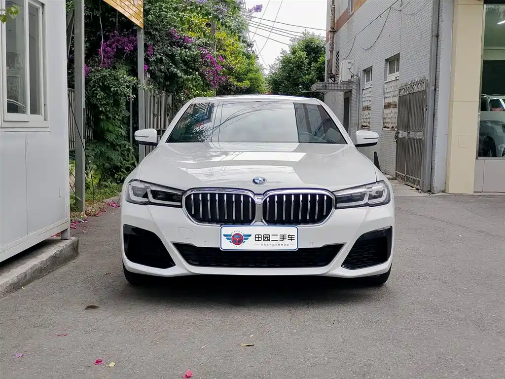 BMW 5 Series (Import) 2022 Model Second Facelift 525i M Sport Package фото 2