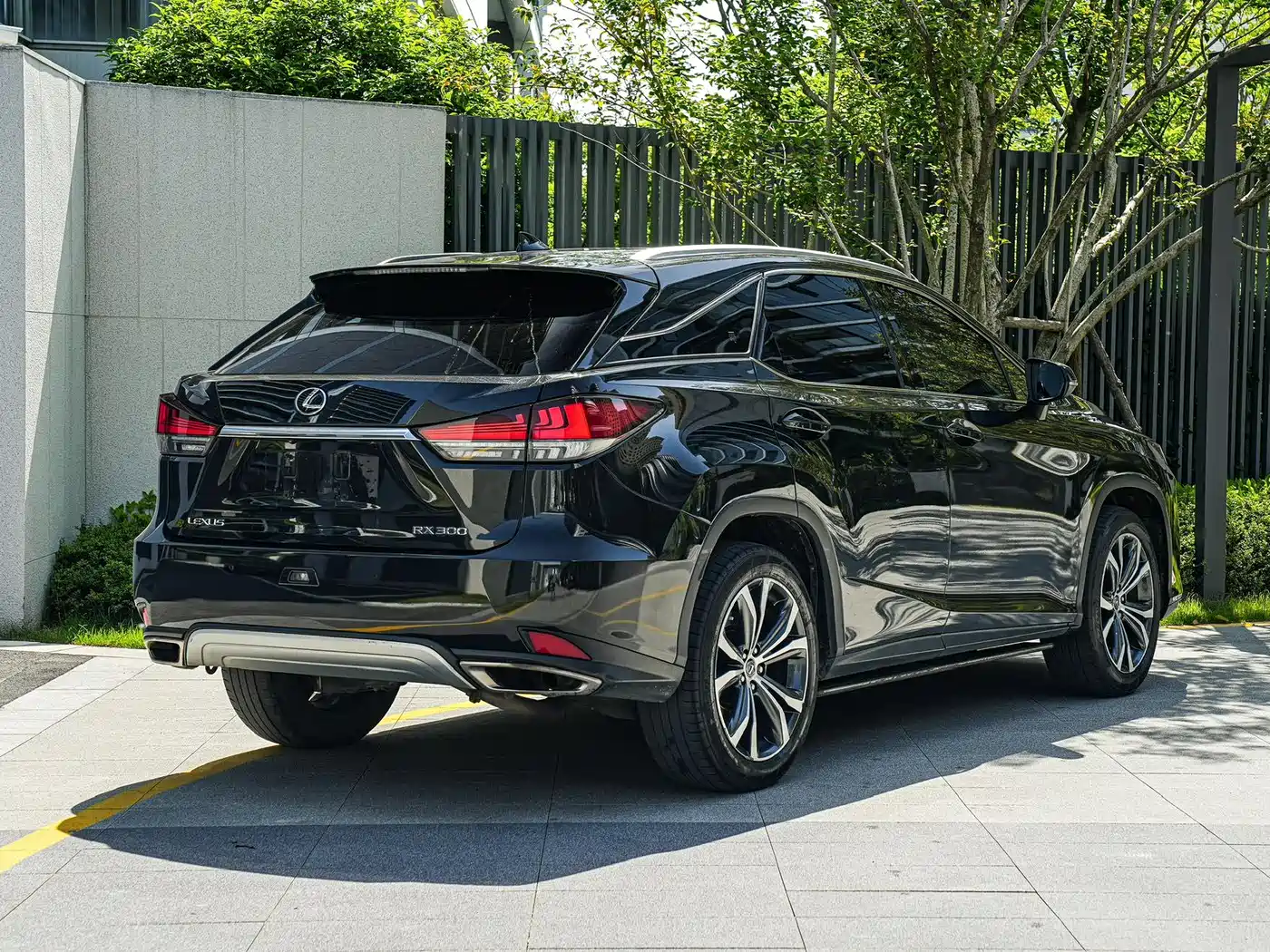Lexus RX 2020 300 4WD Elegance Edition China VI фото 4