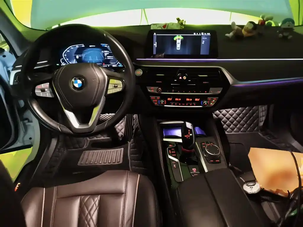 BMW 5 Series New Energy 2020 530Le Range Upgrade Luxury Package фото 10