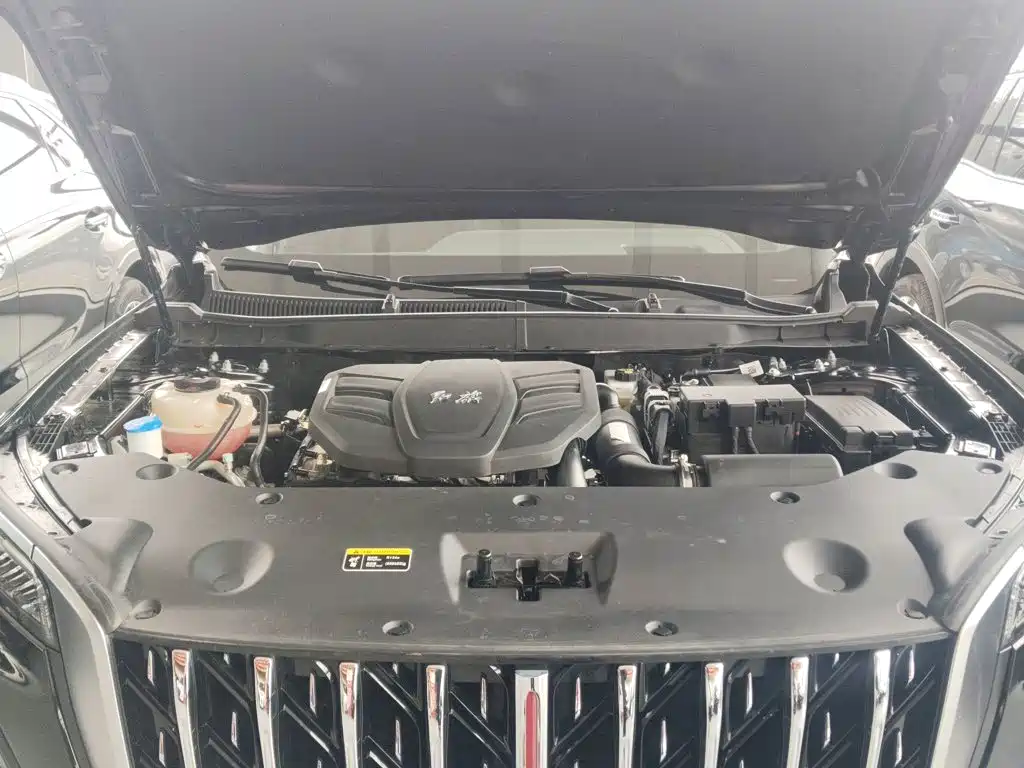 Hongqi HS5 2025 2025 2.0T 2WD Qixiang Pro