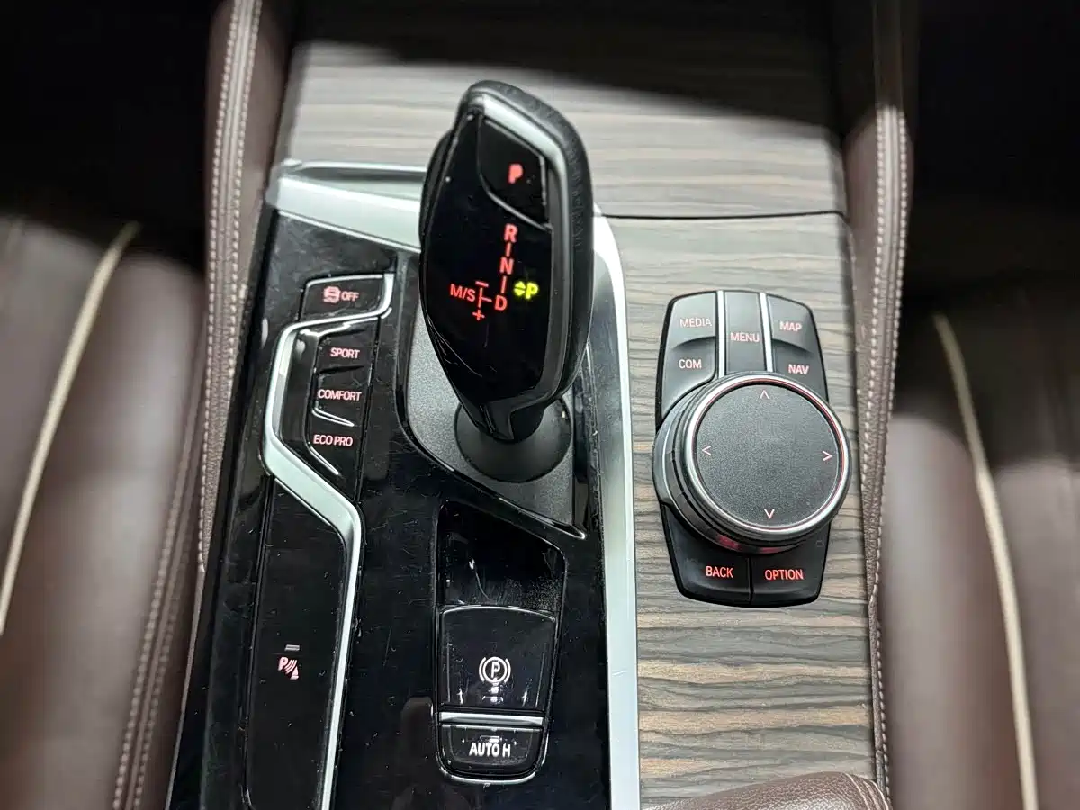 BMW 5 Series 2021 530Li Leading Luxury Package фото 7