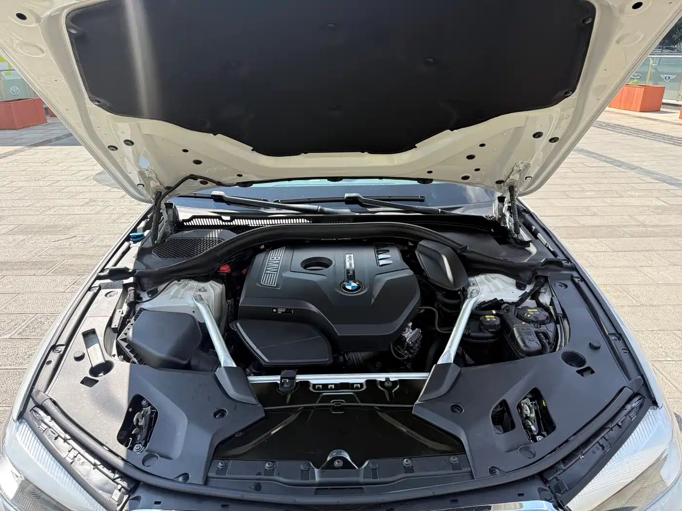 BMW 5 Series 2019 530Li Leading Luxury Package фото 11