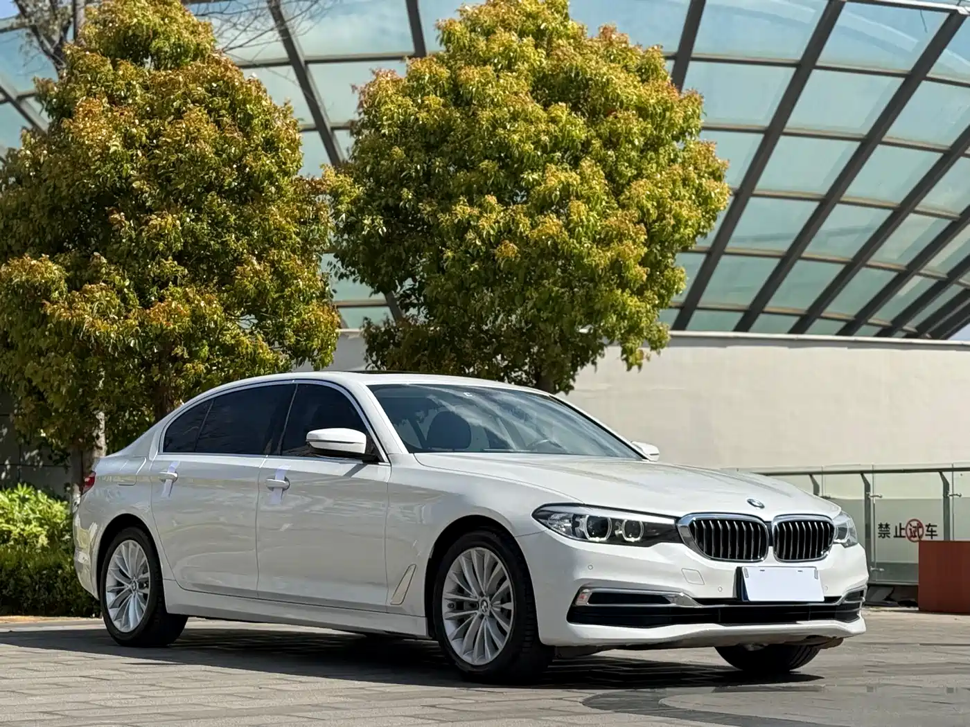 BMW 5 Series 2019 530Li Leading Luxury Package фото 3