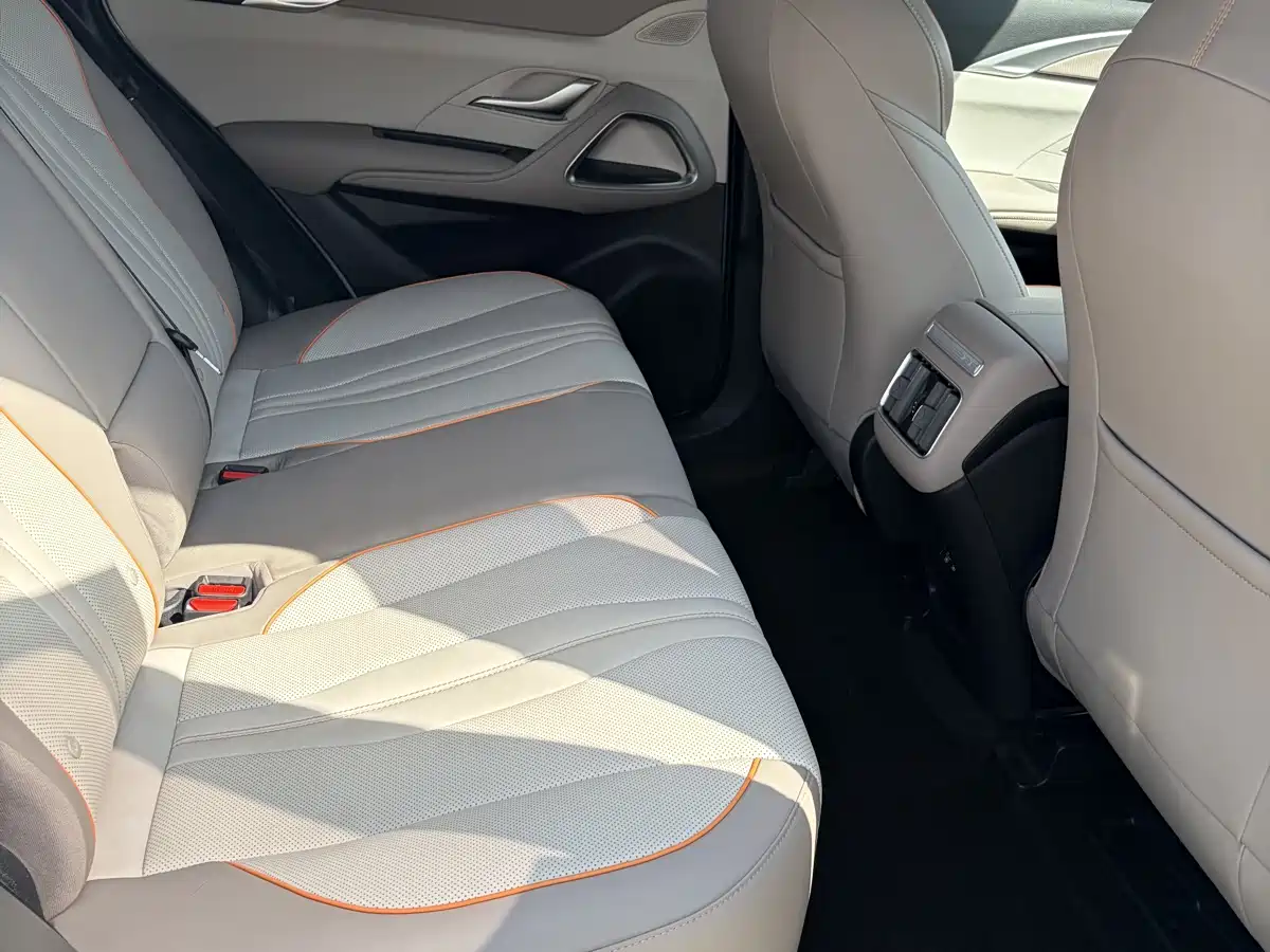 BYD Song Pro New Energy 2023 Champion Edition DM-i 110KM Excellence фото 8