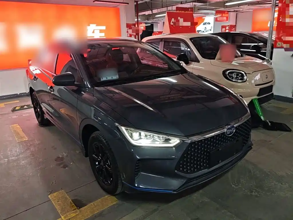 BYD e2 2021 Luxury Edition фото 4