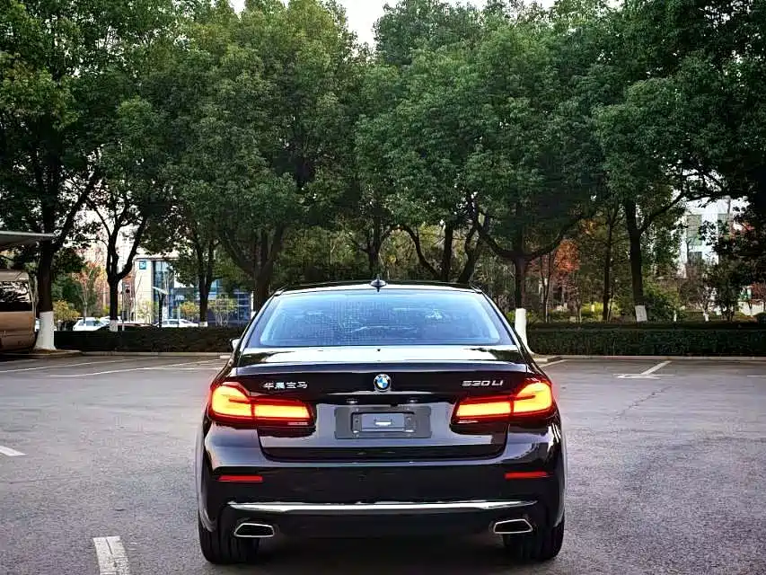 BMW 5 Series 2021 Facelift 530Li Premium M Sport Package фото 8