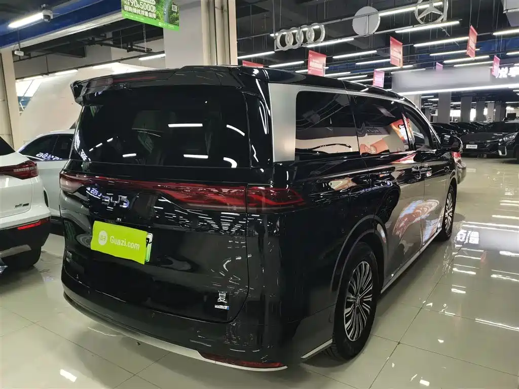 BYD Xia 2025 DM-i 1.5T 180km Surpass Edition фото 5