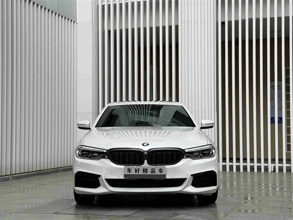 BMW 5 Series 2020 530Li Exclusive M Sport Package фото 2