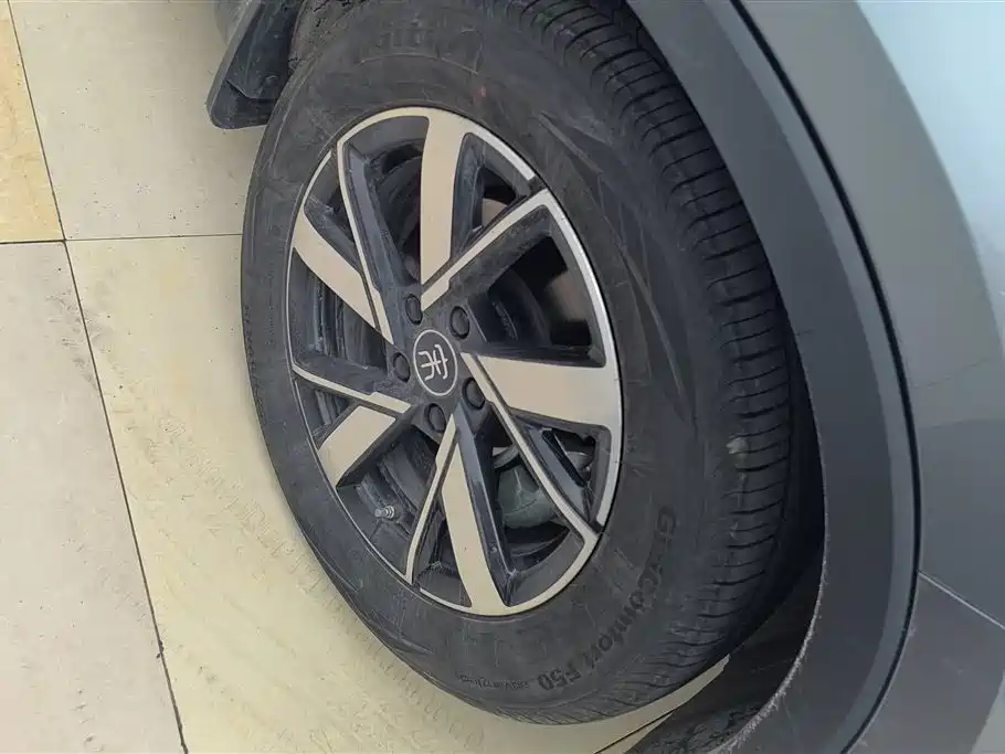 BYD Song Pro New Energy 2024 Glory Edition DM-i 110KM Excellence фото 6