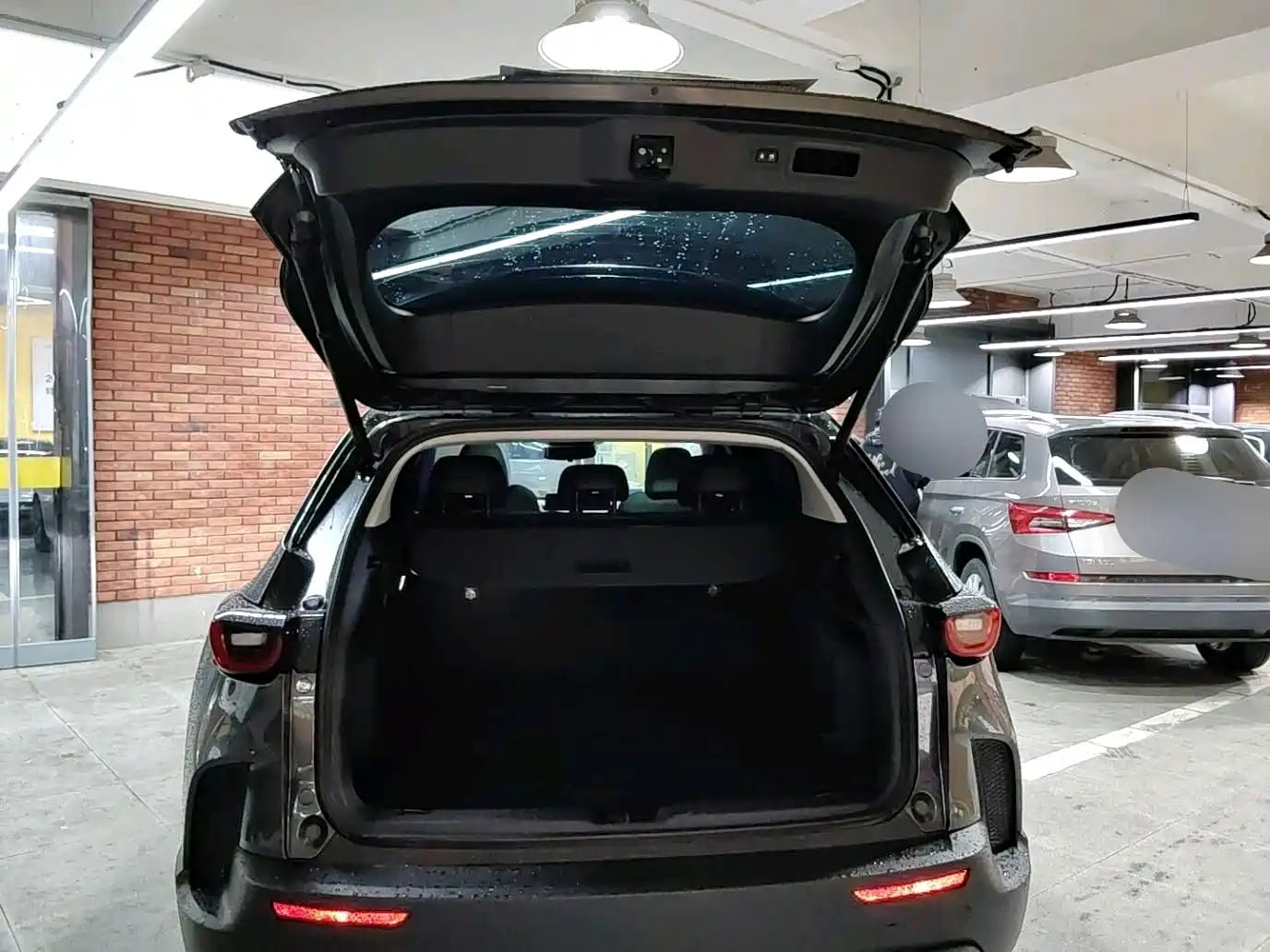 Mazda CX-50 2024 2023 2.0L Safety Edition