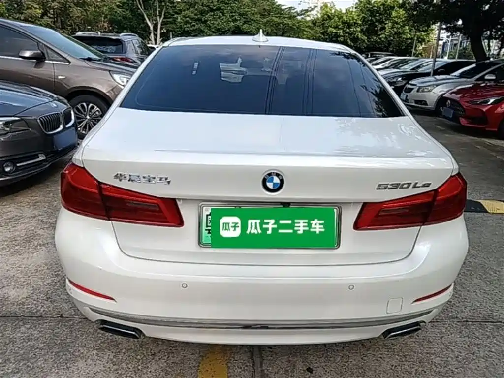 BMW 5 Series New Energy 2020 530Le Luxury Package фото 6