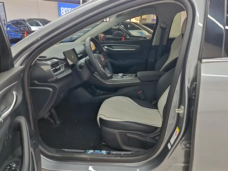 BYD Destroyer 05 2024 Glory Edition DM-i 55KM Luxury фото 7