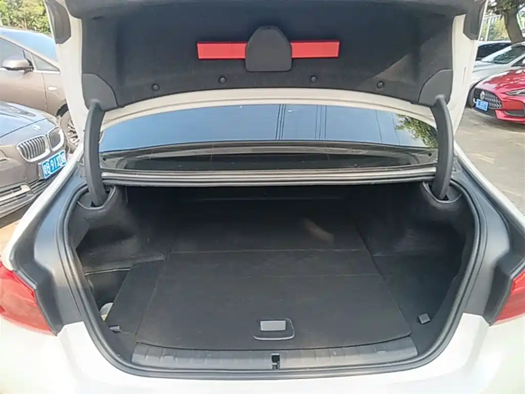 BMW 5 Series New Energy 2020 530Le Luxury Package фото 19
