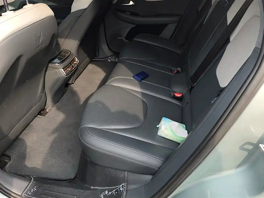 ARCFOX EXTREME FOX POLAR FOX ALPHA S