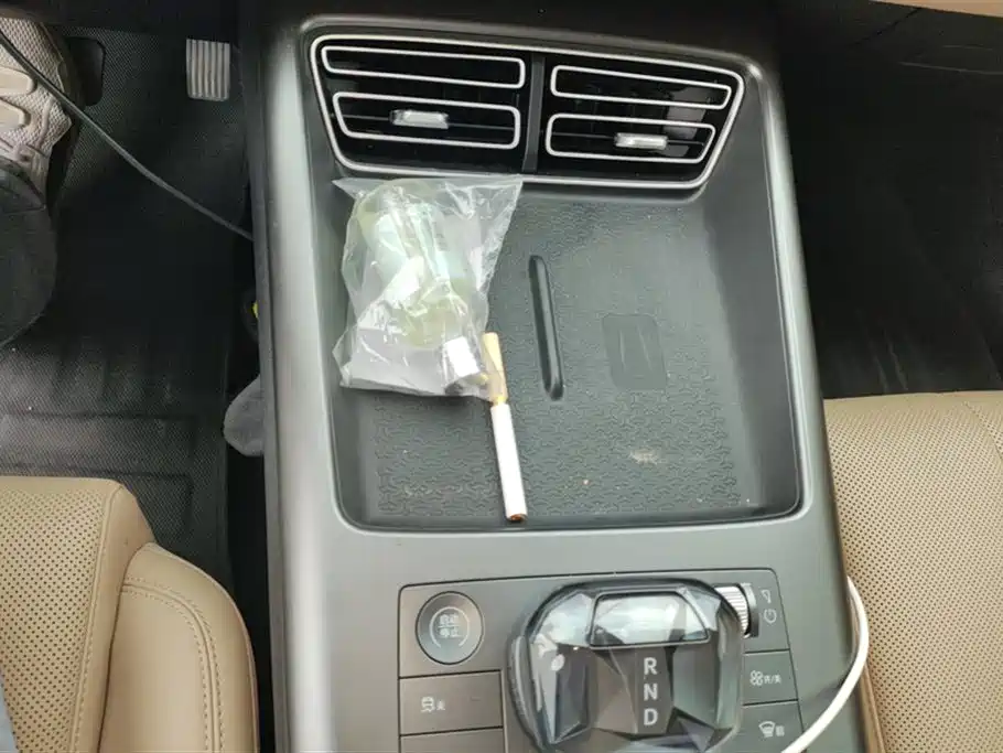 BYD SONGJIANG NEW ENERGY