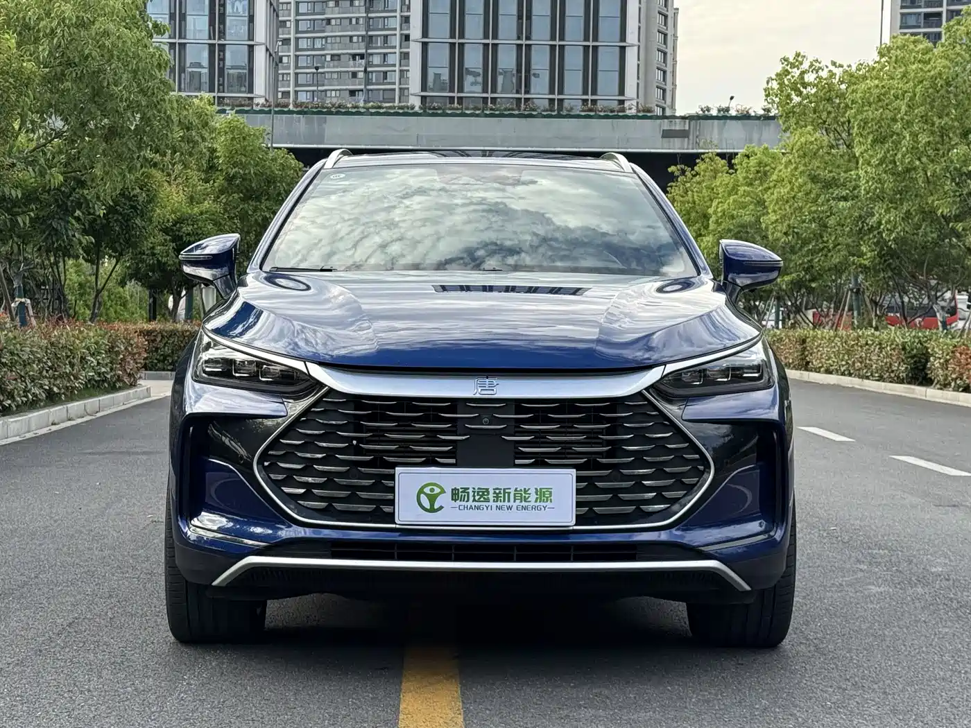 BYD Tang New Energy 2022 DM-p 215KM AWD Flagship фото 2