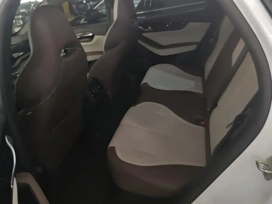 BYD Qin PLUS 2024 Glory Edition DM-i 55KM Leading фото 11