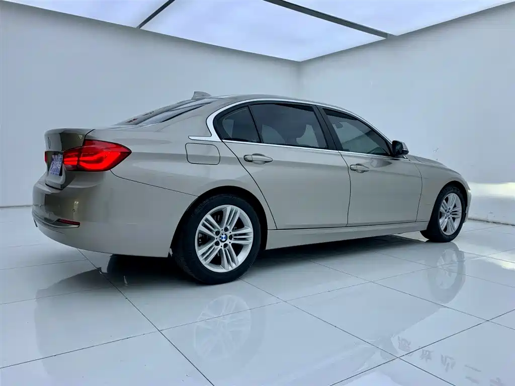 BMW 3 Series 2018 318Li фото 5