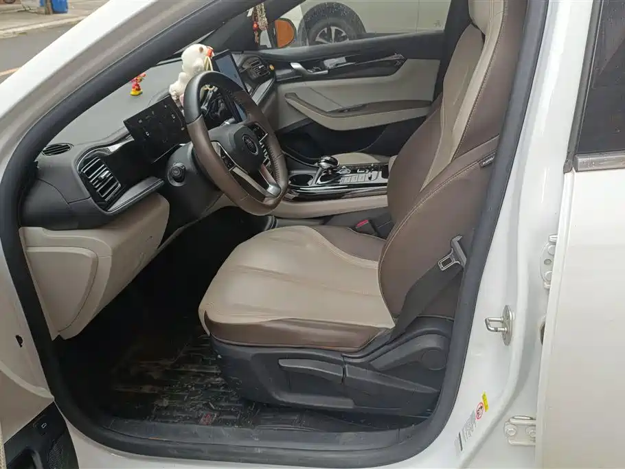 BYD Qin PLUS 2023 Champion Edition DM-i 55KM Leading фото 9