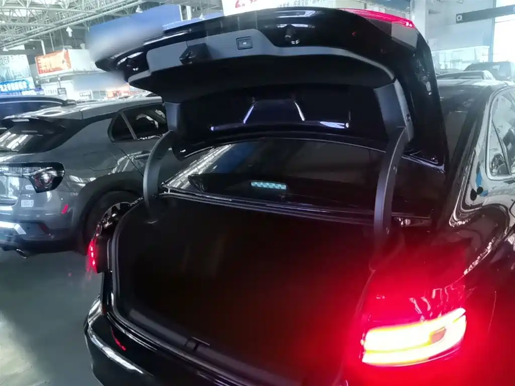 Volkswagen Passat 2023 330TSI Starlight Luxury Edition фото 19