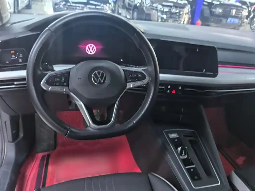Volkswagen Golf 2021 280TSI DSG Pro Launch Edition фото 8