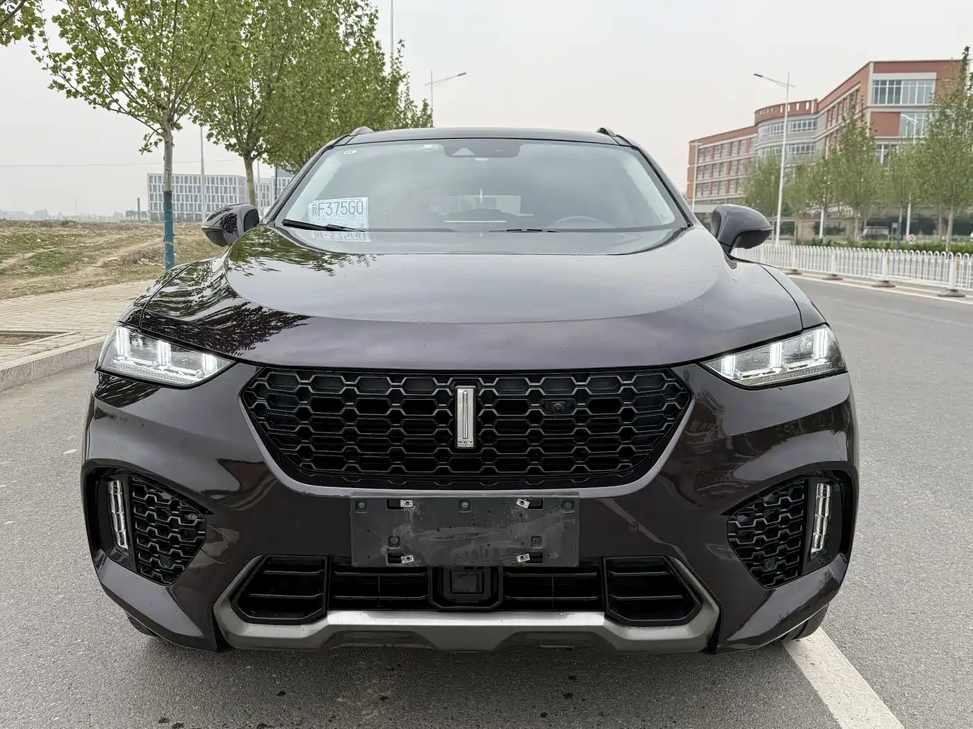 WEY VV7 2019 2017 2.0T Flagship